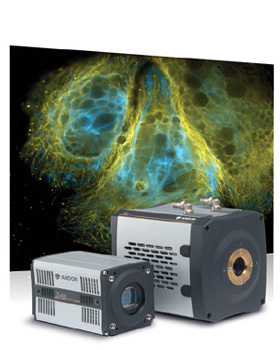 Andor社 サイエンス用 sCMOSカメラ -Neo & Zyla- | AD SCIENCE － 株式会社アド・サイエンス
